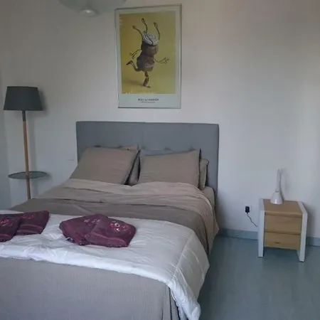 La Ferme Aux Portes De Montauban - Avec Piscine Albias